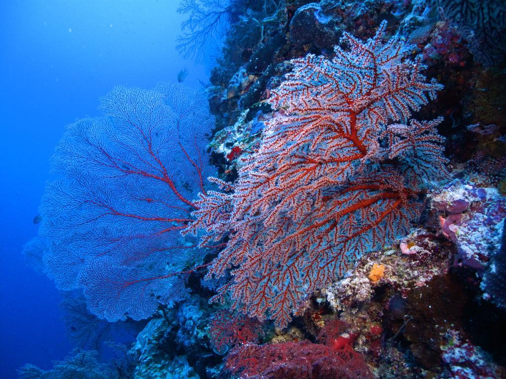 Diving Center Punta Stilo Apartment ภายนอก รูปภาพ