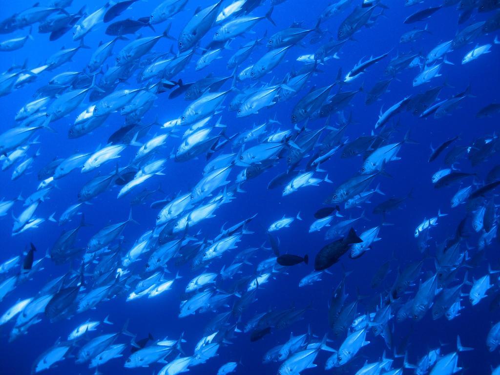 Diving Center Punta Stilo Apartment ภายนอก รูปภาพ